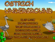 Ostrich underground