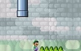 Luigi