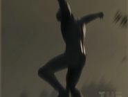 The Forest