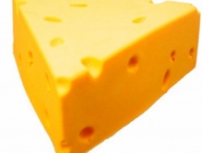 Like Cheese