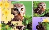 Funny Puzzle with Animal