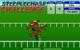 STEEPLECHASE CHALLENGE