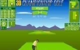 3D championship golf