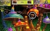 Photo Hunt Mushroom