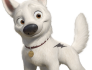 Run Bolt Run