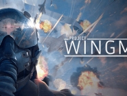 Project Wingman