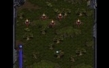 StarCraft flash action