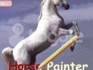 Horse painter