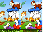 Duck and Chipmunks Differences