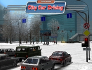 City Car Driving