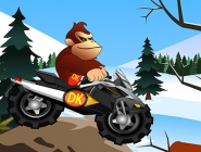 Donkey Kong Ice Adventure