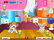 Игра любимчика заботя