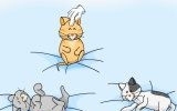 Щекотание кошек