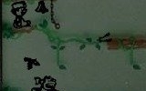 Donkey Kong Jr