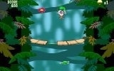 Jungle bounce