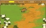 Kaban sheep