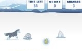 Antarctic guide