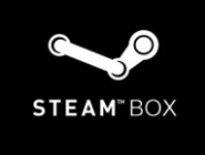     Steam Box