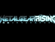  Metal Gear Rising -  AR   