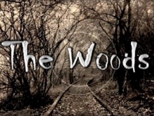 Видео игрового процесса мобильной игры The Woods Chapter 2