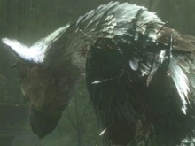 Слух: The Last Guardian готовится для PS4