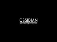 Obsidian работает над "уникальной игрой" для некстгена