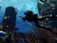 Слухи о новом движке для Call of Duty: Ghosts не подтвердились