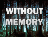     Without Memory  PS4