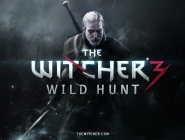  ,   ,     The Witcher 3: Wild Hunt