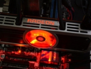 AMD        