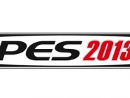   myPES  PES 2013